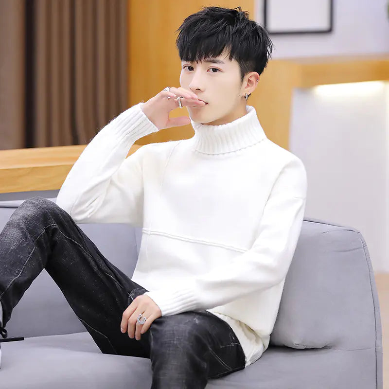 Men's Thick Warm Turtleneck Knit Sweater (Korean Style)