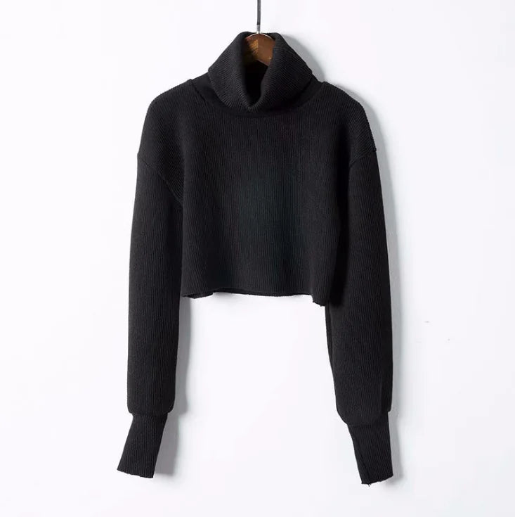 Loose Fit High Neck Crop Knit Sweater with Long Sleeves