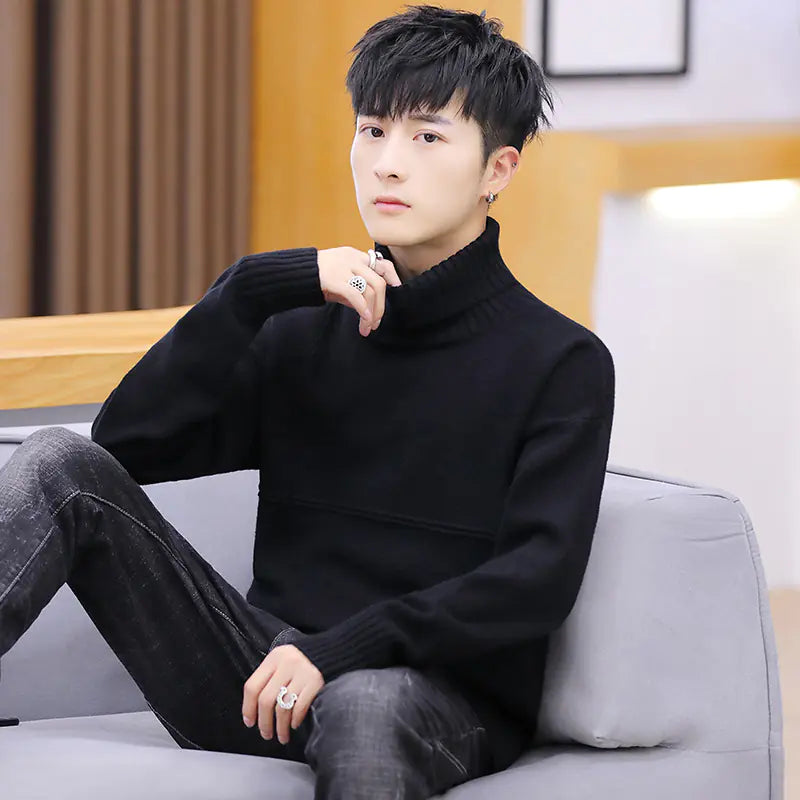 Men's Thick Warm Turtleneck Knit Sweater (Korean Style)